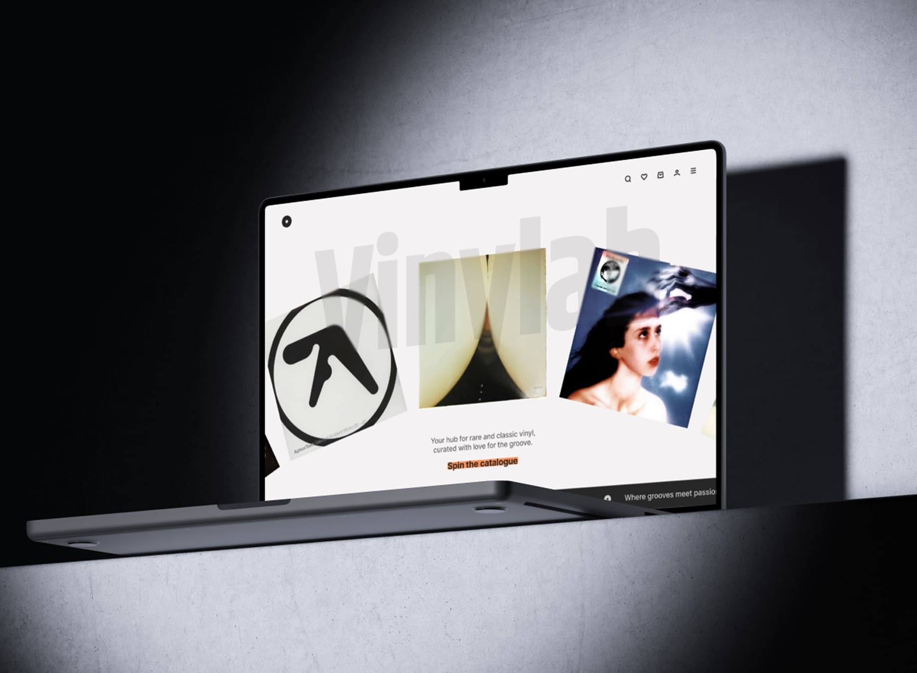 Next project preview for Vinylab.
