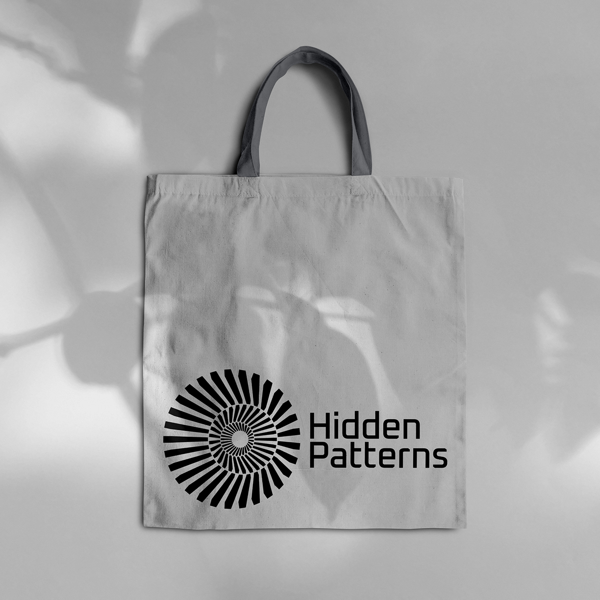 Hidden Patterns gallery visual